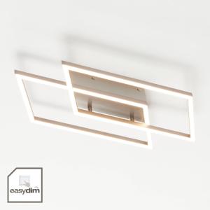 Paul Neuhaus Plafón LED de 2 luces Inigo, longitud 53,8 cm