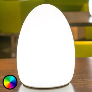 Smart&Green Egg: una lámpara decorativa con batería recarga…