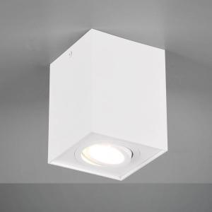 Trio Lighting Lámpara de techo Biscuit, 1 luz, blanco