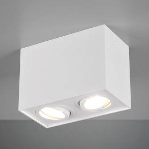 Trio Lighting Lámpara de techo Biscuit, 2 luces, blanco