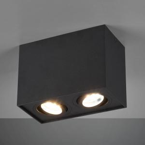 Trio Lighting Lámpara de techo Biscuit, 2 luces, negro