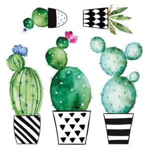 Sticker multicolor saint honore watercolour cactus de 30x30…