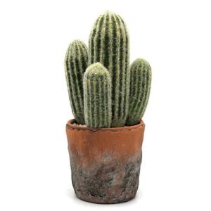 Planta artificial cactus de 31 cm de altura en maceta de 13…