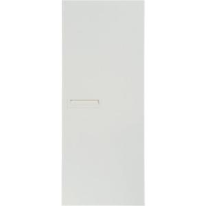 Puerta abatible para armario tokyo blanco 60x100x1,9 cm