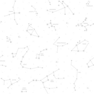 Papel pintado vinílico naturaleza constelacion blanco