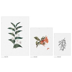 Set de 3 láminas botanical 70 x 130 cm