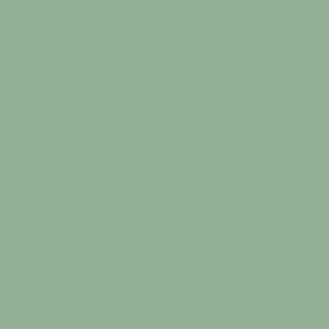 Tester de pintura mate 0.375l 3020-g10y verde oliva empolva…