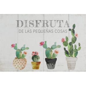 Madera impresa cactus disgfruta 30 x 20 cm inspire