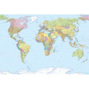 Mural world map de 368 x 248 cm