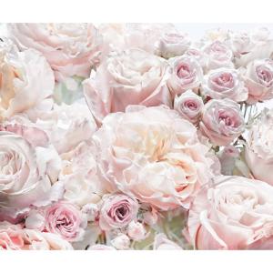 Parfum de rose de 300 x 250 cm