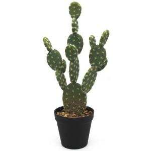 Planta artificial cactus de 44.5 cm de altura en maceta de…