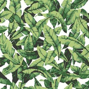 Papel pintado autoadhesivo vinílico naturaleza hojas verde…