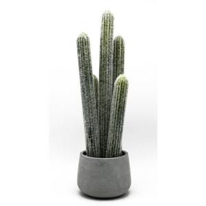 Planta artificial cactus de 56 cm de altura en maceta de 16…