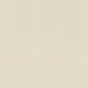 Papel pintado aspecto texturizado liso japan 531329 beige