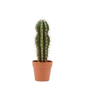 Planta artificial cactus stetsonia coryn de 43 cm en maceta…