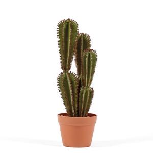 Planta artificial cactus euphorbia de 57,5 cm en maceta de…