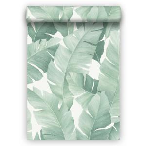 Papel pintado aspecto texturizado naturaleza botanical vert…