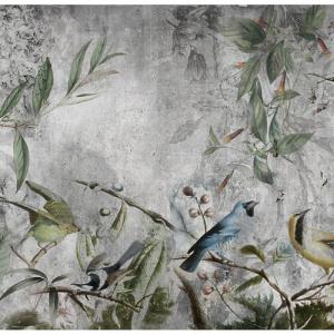 Mural pájaros tropicales de 257 x 250 cm