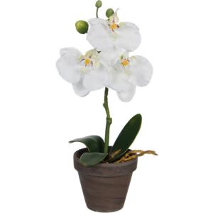 Planta artificial phalaenopsis blanca de 26 cm en maceta de…