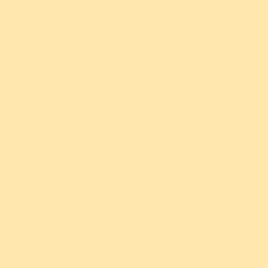 Tester de pintura mate 0.375l 0520-y20r amarillo anaranjado…