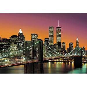 New york city de 366 x 254 cm