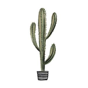 Lámina cactus 3 30 x 40 cm