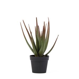 Planta artificial cactus aloe de 81 cm en maceta de 20 cm