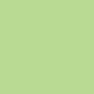 Tester de pintura mate 0.375l 1040-g30y verde menta luminoso