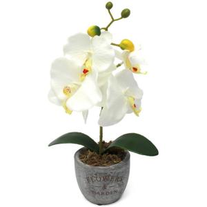 Planta artificial phalaenopsis blanca de 34 cm de altura en…