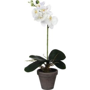 Planta artificial phalaenopsis blanca de 48 cm en maceta de…