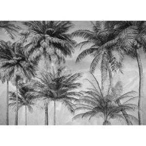 Coco de paradise de 350 x 250 cm