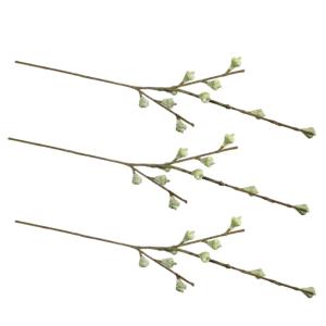 3 ramas frutales de eucalipto 40 cm