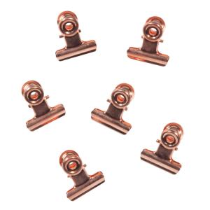 6 pinzas clip magnéticas de metal CUIVRE