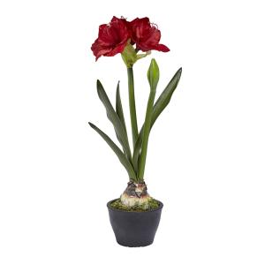Amarilis en maceta artificial roja h70