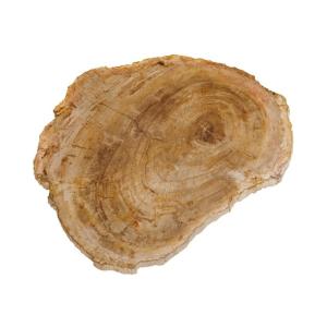 Bandeja de madera beige