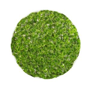 Bola boj artificial verde de plástico para exterior de Ø 30…
