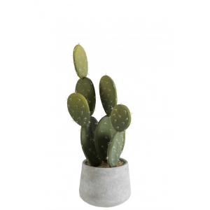 Cactus   maceta verde/cemento alt. 50 cm