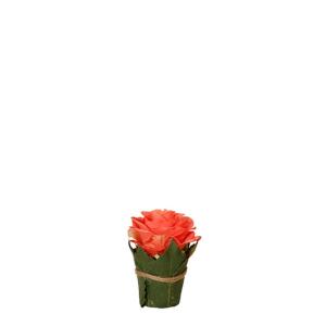 Composición de rosas rodeada de hojas artificiales coral h9