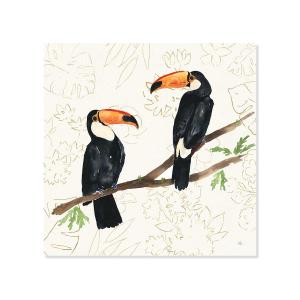 Cuadro alegre aves tropicales impresión sobre lienzo 30x30c…