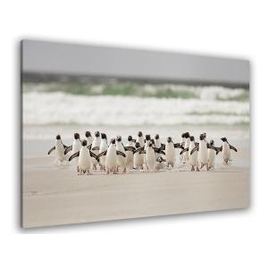 Cuadro animales pingüinos impresión sobre lienzo 45x30cm