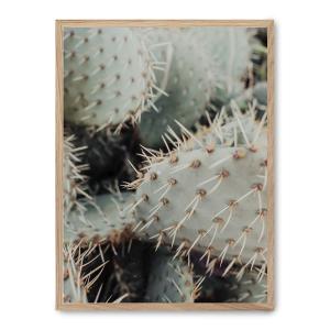 Cuadro cactus thorns, marco roble, 30x40 cm