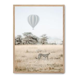Cuadro cheetah, marco roble, 50x70 cm