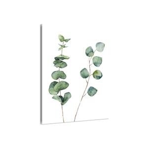 Cuadro con hojas de eucalipto impresión sobre lienzo 40x60c…