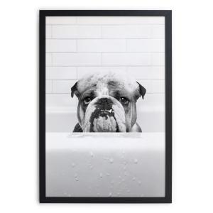 Cuadro con marco negro 40x30 bulldog en la bañera