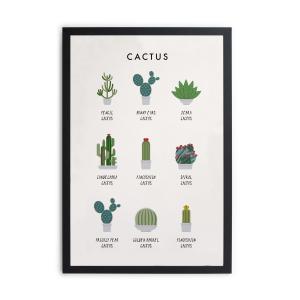 Cuadro con marco negro 40x30 cactus