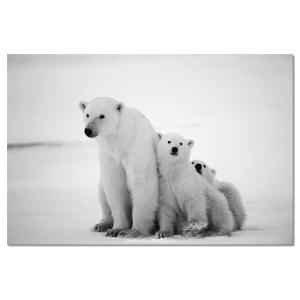 Cuadro de animales familia oso polar impresión sobre lienzo…