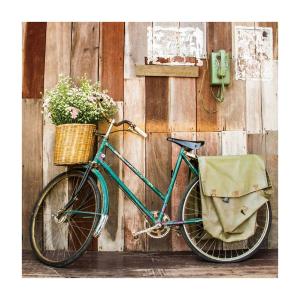 Cuadro de bicicleta en lienzo verde 80x80 cm