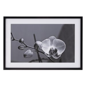 Cuadro de flor fotoimpreso de metacrilato y papel blanco y…