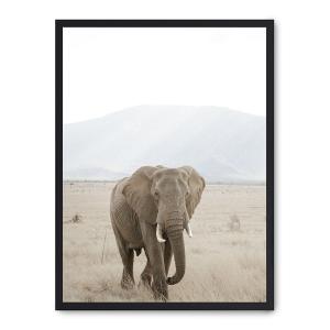Cuadro elephant in the savana i, marco negro, 30x40 cm