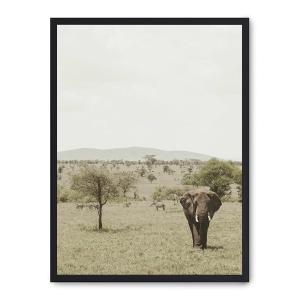 Cuadro elephant in the savana ii, marco negro, 30x40 cm